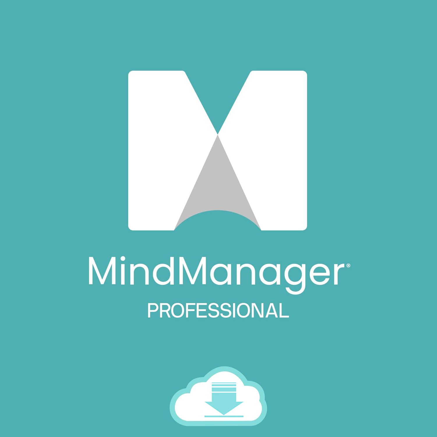 MindManager Professional product image